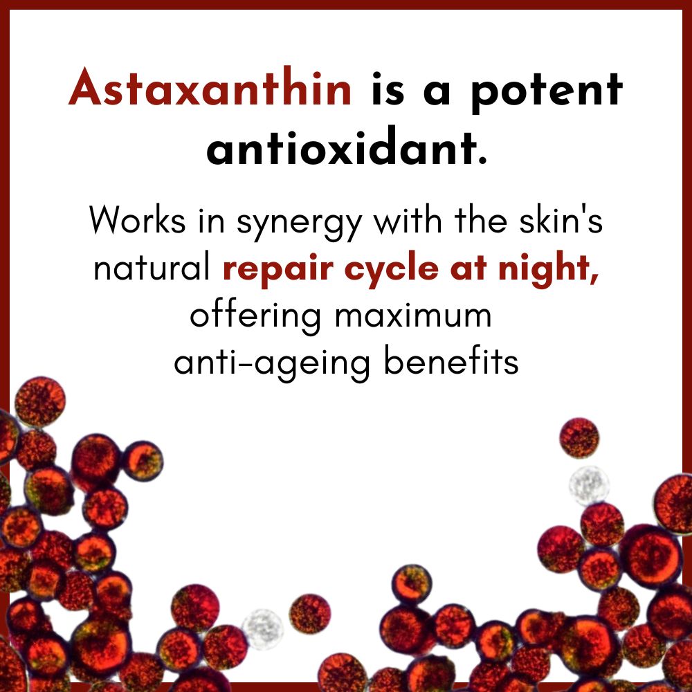 ADVANCED ANTI-AGEING NIGHT CREAM WITH ASTAXANTHIN