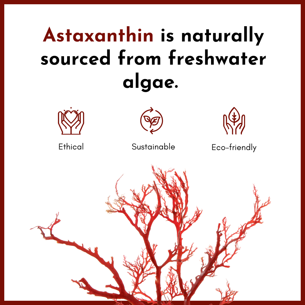 ADVANCED ANTI-AGEING NIGHT CREAM WITH ASTAXANTHIN